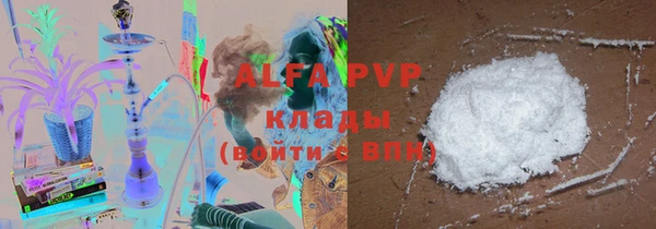 гашик Зерноград