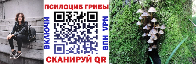 Галлюциногенные грибы ЛСД  ОМГ ОМГ   Свирск 